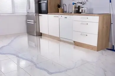 TCL-fridge-Water-Leak-problem-repiaring-center-in-Naraina, Delhi